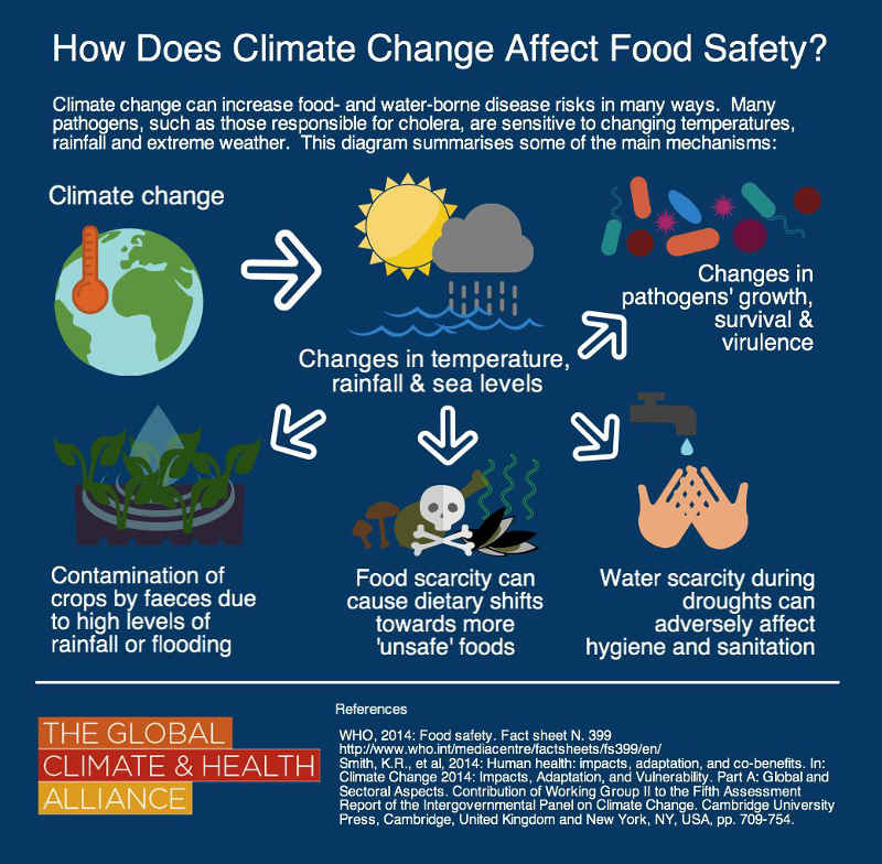 Climate Change and Food Safety - The Global Climate and Health Alliance