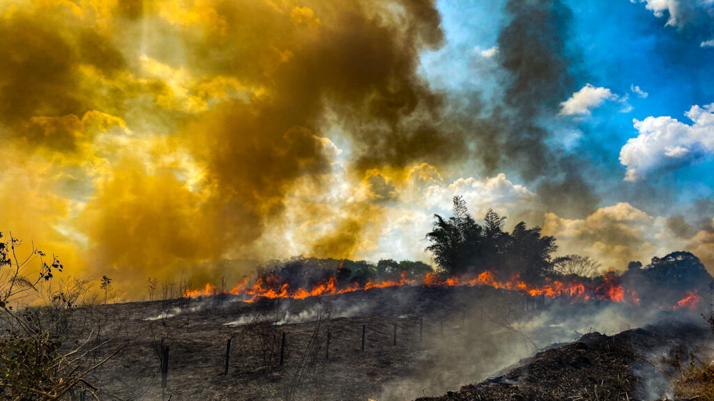 burns in Rio Branco no Acre Foto Sergio Vale_Amazonia Real