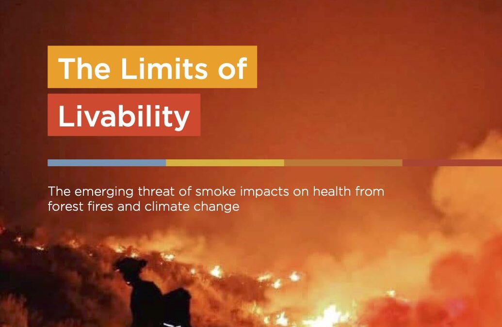 With COP28 on the Horizon, Wildfire Crisis Must Drive Action to Protect Health