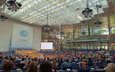 Health Policy Watch: What Would Make the Next UN Climate Conference (COP28) the First True “Health COP”?
