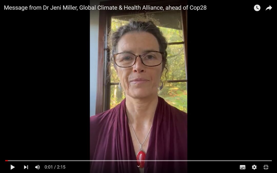 Countdown to COP28: Call to action to the health community