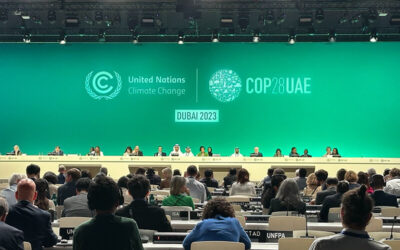 COP28: Wealthy Countries’ Hesitation on Adaptation Targets Poses Grave Risk to Human Health