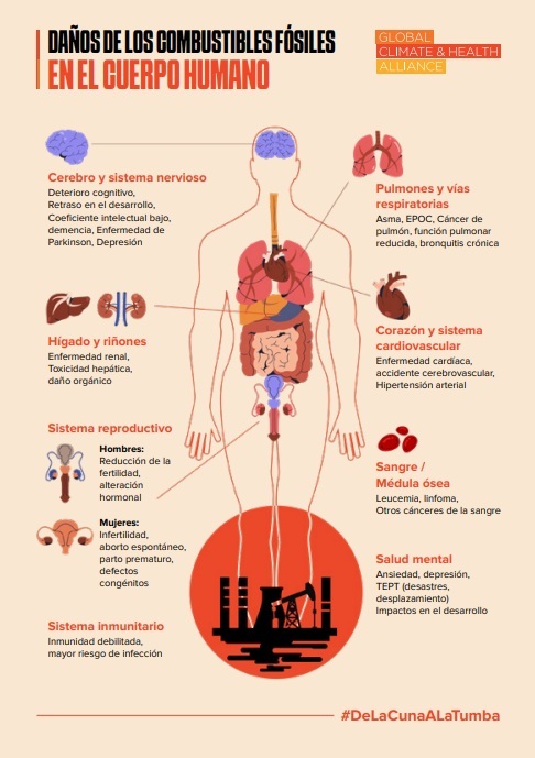 Poster showing Fossil Fuel Harms on the Human Body 